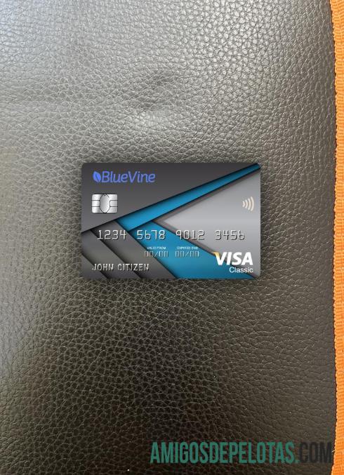 Cartão clássico Visa BlueVine Bank EUA Califórnia Photolook Front baixar para verificação